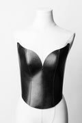 The Starlight Corset